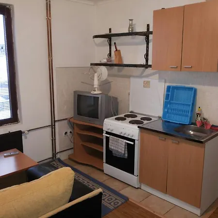 公寓 Apartments Villa Vlasic 弗拉西克