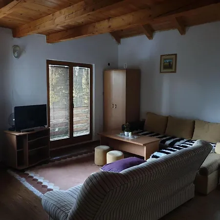 公寓 Apartments Villa Vlasic