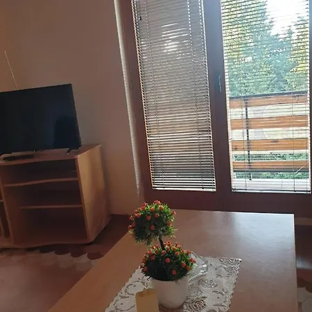 公寓 Apartments Villa Vlasic *