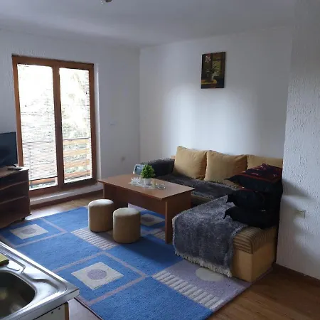 公寓 Apartments Villa Vlasic 弗拉西克