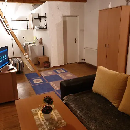 Apartments Villa Vlasic 公寓 *