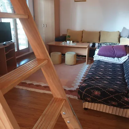 Apartments Villa Vlasic 公寓 *