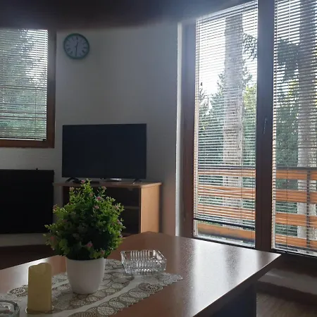 Apartments Villa Vlasic 公寓 弗拉西克