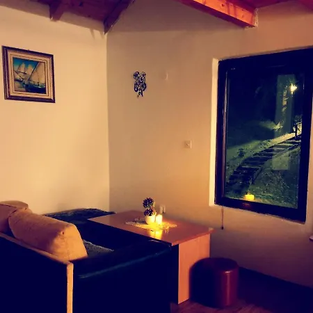 Apartments Villa Vlasic 公寓 弗拉西克